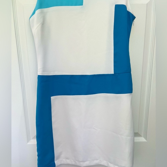 C. Luce Boutique Blue and White Shift Dress - Picture 7 of 8